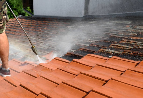 Why Choose Our Certified Pressure Washing Experts for Your Project Needs in Palatka, FL?