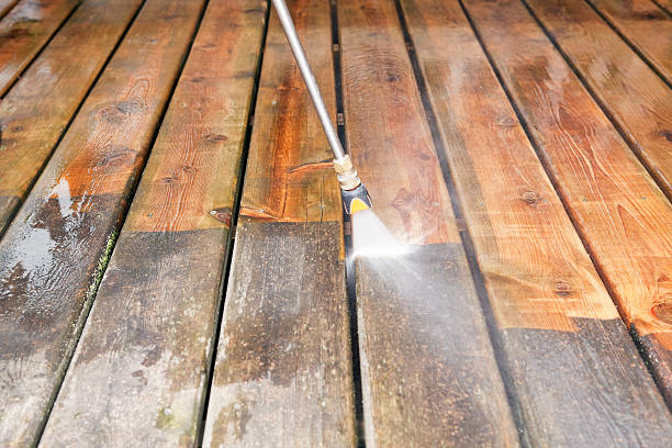 Best Roof Pressure Washing  in Palatka, FL