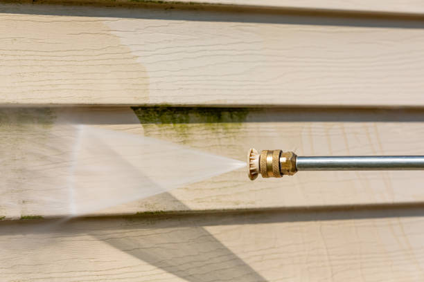 Best Affordable Pressure Washing  in Palatka, FL