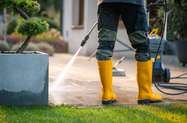 Best Pressure Washing Company Near Me  in Palatka, FL